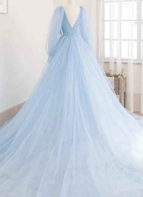 A-line Princess V Neck Full/long Sleeve Court Train Tulle Dresses